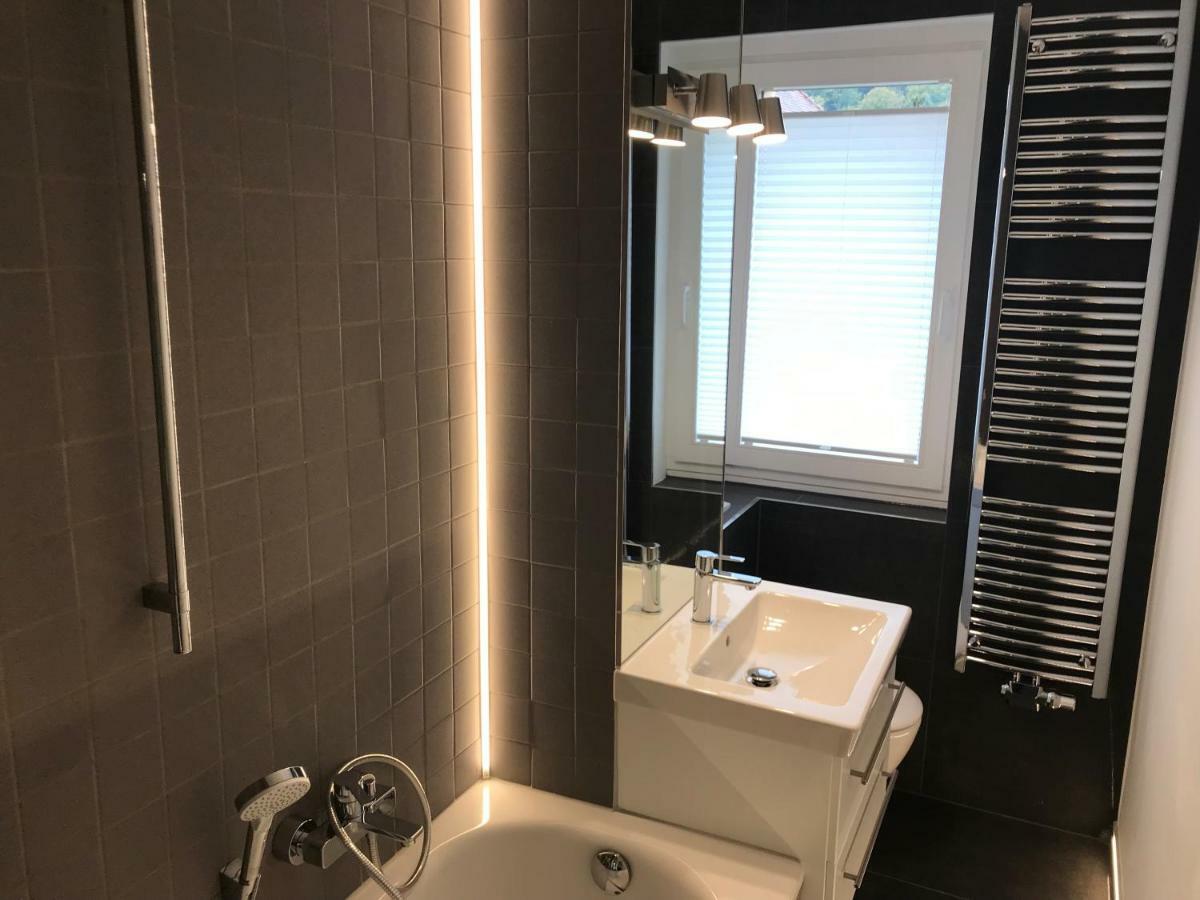 Zentrum Apartment Bad Schandau Bagian luar foto